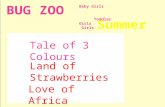 BUG ZOO Summer Collection 2010 Baby Girls Toddler Girls Girls Love of Africa Land of Strawberries Tale of 3 Colours.