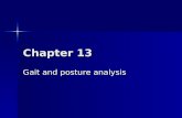 Chapter 13 Gait and posture analysis. Overview It is not clear whether gait is learned or is pre-programmed at the spinal cord level. However, once mastered,