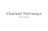 Channel Pathways ACR class 9. Hand Taiyin Lung Channel.
