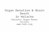 Organ Donation & Brain Death in Halacha Halachic Organ Donor Society  .