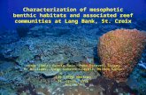 Characterization of mesophotic benthic habitats and associated reef communities at Lang Bank, St. Croix Jorge (Reni) García-Sais, Rene Esteves, Stacey.
