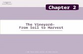 The Vineyard— From Soil to Harvest © 2007 Thomson Delmar Learning. All Rights Reserved. Chapter 2.