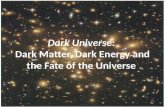 Dark Universe: Dark Matter, Dark Energy and the Fate of the Universe.