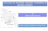 1 STATUS OF MARINE SHRIMP FARMING IN BANGLADSEH BANGLADESH SHRIMP FOUNDATION by Mahmudul Karim by Mahmudul Karim.