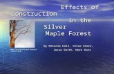 Effects of Construction in the Silver Maple Forest Effects of Construction in the Silver Maple Forest By Melanie Hall, Chloe Starr, Jesse Smith, Nora Katz.