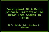 Development Of A Rapid Response Initiative For Brown Tree Snakes In Texas M.A. Hall, S.E. Henke, B. Pitman.