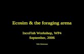 Ecosim & the foraging arena IncoFish Workshop, WP4 September, 2006 IncoFish Workshop, WP4 September, 2006 Villy Christensen.