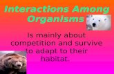 Interactions Among Organisms Is mainly about competition and survive to adapt to their habitat. By D.J –Kenna – Kelsea.