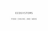 ECOSYSTEMS FOOD CHAINS AND WEBS. ENERGY FLOW IN ECOSYSTEMS The greatest amount of energy is in the bottom level- or the producers Producers are photosynthetic.