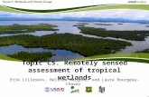 Topic C5. Remotely sensed assessment of tropical wetlands Erik Lilleskov, Belinda Margono, and Laura Bourgeau-Chavez.