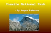 Yosmite National Park By Logan LaMarca. Location Region-West State-California Capital-Sacramento Longitude-37.8333°N,119 Latitude-5000°W Half Dome.