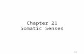 21-1 Chapter 21 Somatic Senses. 21-2 Sensory Modalities Different types of sensations –touch, pain, temperature, vibration, hearing, vision Each type.