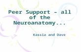 Peer Support – all of the Neuroanatomy... Kassia and Dave.