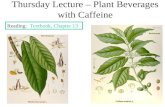 Thursday Lecture – Plant Beverages with Caffeine Reading: Textbook, Chapter 13.