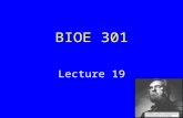 BIOE 301 Lecture 19. .