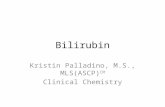 Bilirubin Kristin Palladino, M.S., MLS(ASCP) CM Clinical Chemistry.