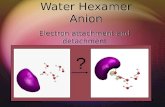 Water Hexamer Anion Electron attachment and detachment ?