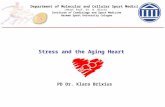 Stress and the Aging Heart PD Dr. Klara Brixius Department of Molecular and Cellular Sport Medicine (Head: Prof. Dr. W. Bloch) Institute of Cardiology.