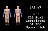 LAB #7 3-5: Clinical Correlates of the Upper Limb.