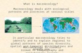 What is macroecology? Macroecology deals with ecological patterns and processes at various scales In particular macroecology tries to identify and to explain.