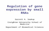 Regulation of gene expression by small RNAs Garrett A. Soukup Creighton University School of Medicine Department of Biomedical Sciences.