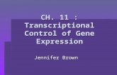 CH. 11 : Transcriptional Control of Gene Expression Jennifer Brown.