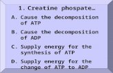 1.Creatine phospate… A.Cause the decomposition of ATP B.Cause the decomposition of ADP C.Supply energy for the synthesis of ATP D.Supply energy for the.