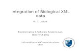 Information and Communications Univ. Bioinformatics & Software Systems Lab. Woo-Hyuk Jang Integration of Biological XML data Ph. D. Lecture.