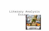 Literary Analysis Essays. Your Splendid Introduction ____Key Parts An _______to capture the reader’s attention Your _____ (the point you will prove in.