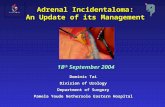 Adrenal Incidentaloma: An Update of its Management 18 th September 2004 Dominic Tai Division of Urology Department of Surgery Pamela Youde Nethersole Eastern.