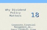 © Prentice Hall, 2004 18 Corporate Financial Management 3e Emery Finnerty Stowe Why Dividend Policy Matters.