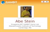 Abe Stein Singapore-MIT GAMBIT Game Lab Massachusetts Institute of Technology Cambridge, MA.