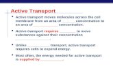 Active Transport  Active transport moves molecules across the cell membrane from an area of _______concentration to an area of ____________ concentration.