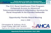 Opportunity Florida, Blountstown, July 2, 2008 Florida Agency for Health Care Administration Florida Center for Health Information and Policy Analysis.