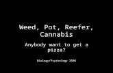 Weed, Pot, Reefer, Cannabis Anybody want to get a pizza? Biology/Psychology 3506.