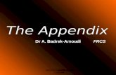 ABA-The Appendix- 4 th year Lectures Dr A. Badrek-Amoudi FRCS.