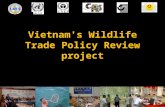 Vietnam's Wildlife Trade Policy Review project. Vietnam’s WLT Policy Review project The wildlife trade policy review was undertaken within 2007-2008 with.
