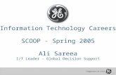 1 Information Technology Careers SCOOP - Spring 2005 Ali Sareea I/T Leader - Global Decision Support.