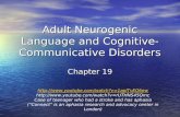Adult Neurogenic Language and Cognitive-Communicative Disorders Chapter 19  .