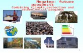 1 Negatep: future prospects Combining climate protection and technological progress.
