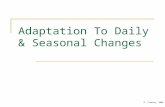 Adaptation To Daily & Seasonal Changes D. Crowley, 2008.