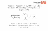 Target Directed Synthesis via StReCH Chemistry: Pregabalin (Lyrica TM ) Bryan D. Beall, Paul R. Blakemore Department of Chemistry, Oregon State University.