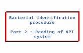 Bacterial identification procedure Part 2 : Reading of API system.