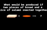 What would be produced if two pieces of bread and a slice of salami reacted together? + ?