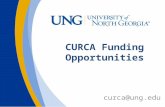 CURCA Funding Opportunities curca@ung.edu. CURCA Supports UR and Creative initiatives across all campuses Workshops & information CURCA Ambassadors CURCA.