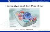 Computational Cell Modeling Julian C Shillcock MEMPHYS Source: chemistrypictures.org.