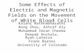 Some Effects of Electric and Magnetic Fields on the Movement of White Blood Cells Kalani Rathnabharathi Rong Zhou, Ashraf Aly Rong Zhou, Ashraf Aly Muhammad.