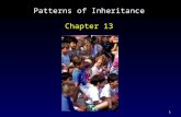 1 Patterns of Inheritance Chapter 13. 2 Outline Early Ideas of Heredity Mendel Gene Disorders Multiple Alleles Pedigrees Gene Disorders Due to Protein.