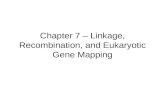 Chapter 7 – Linkage, Recombination, and Eukaryotic Gene Mapping.