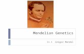 Mendelian Genetics 11.1 Gregor Mendel. Who was Gregor Mendel?  Austrian monk  Also “high school” science/math teacher  One of the first to use statistics.